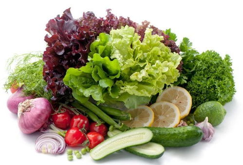 春季蔬菜的种类与营养