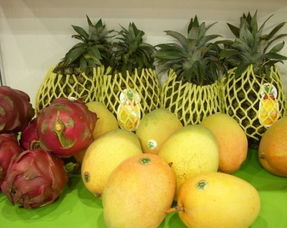 热带水果指哪些