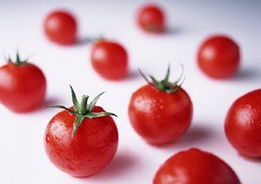 番茄红素是真的吗